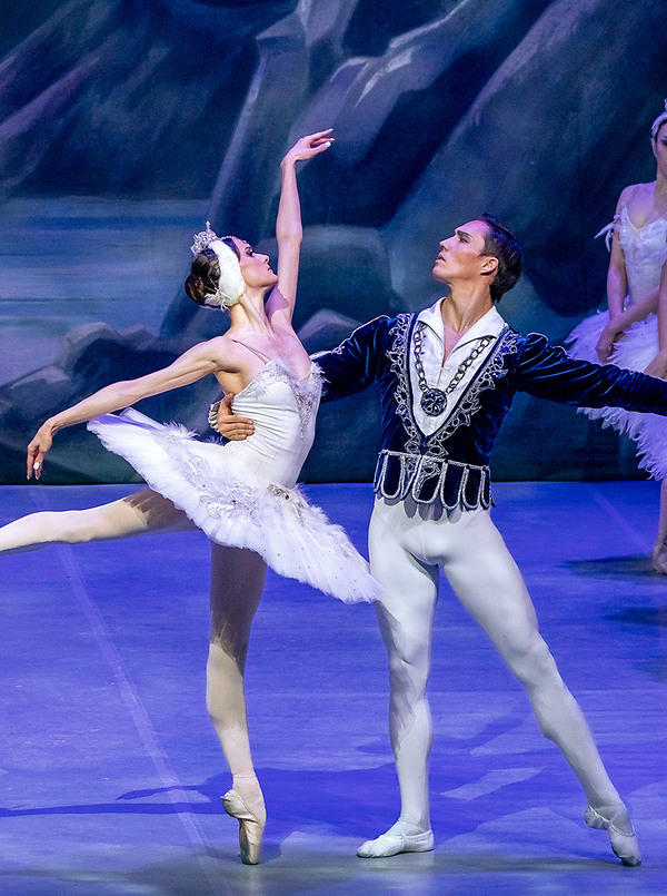 Poster für: Schwanensee Royal Classical Ballet
