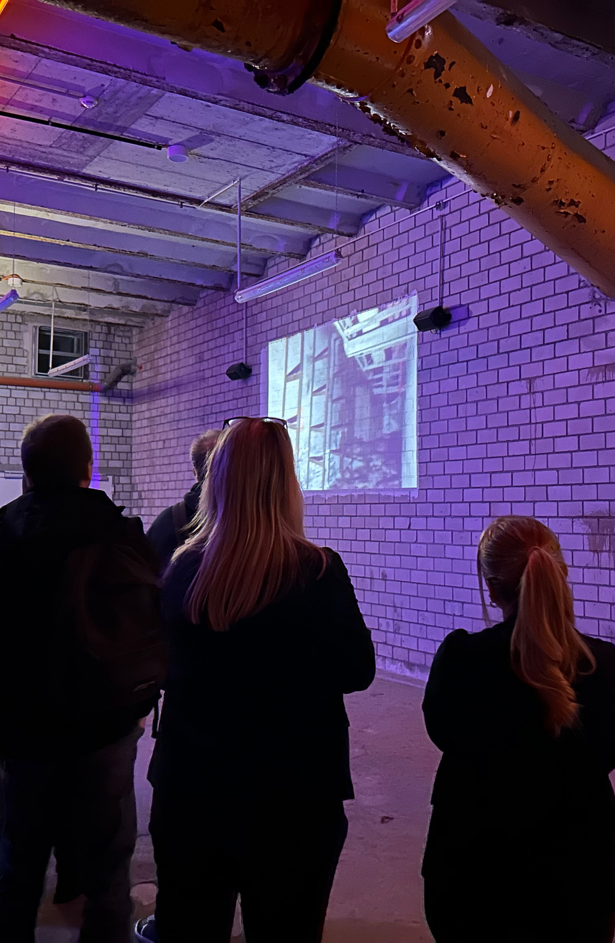 Decorative Image Backdrop